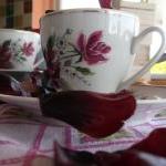 Burgundy Vintage Tea-cup With Petal Soap