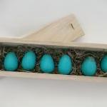Bird Egg Collectors Edition