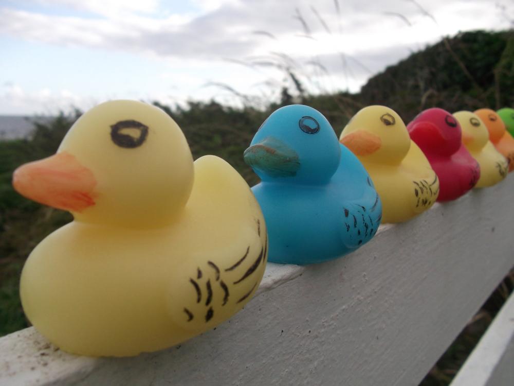 Rubber Duck Soap - Any Colour: Blue, Red, Pink, Orange, Green Or Yellow
